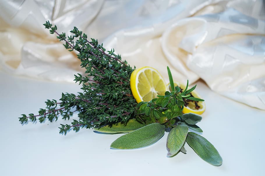 two yellow sliced lemons on green leaves, Herbs, Sage, Thyme HD wallpaper