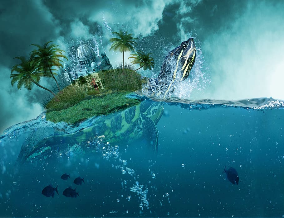 island on back of turtle on body of water, sea, cloud, fantasy HD wallpaper