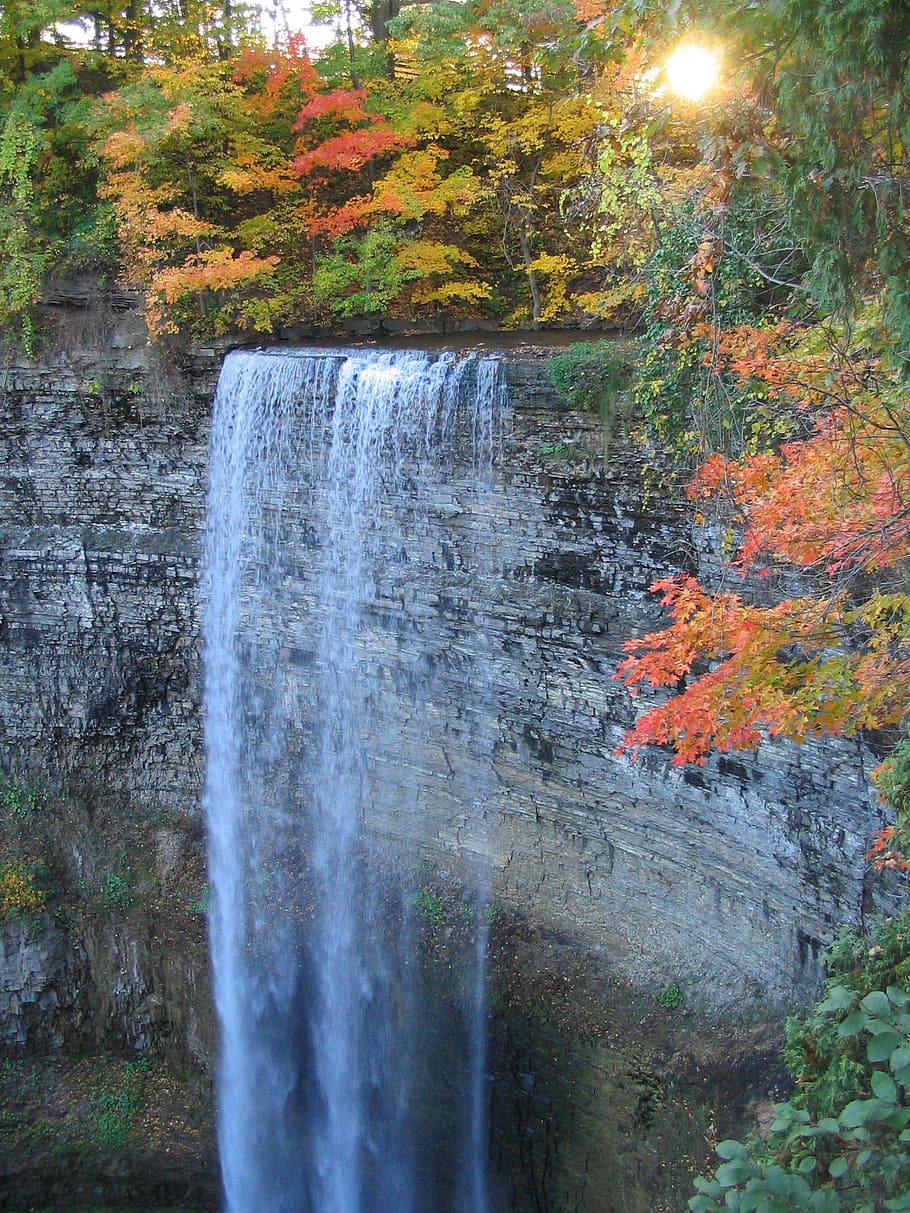 waterfall, autumn, stream, forest, nature, niagara escarpment HD wallpaper