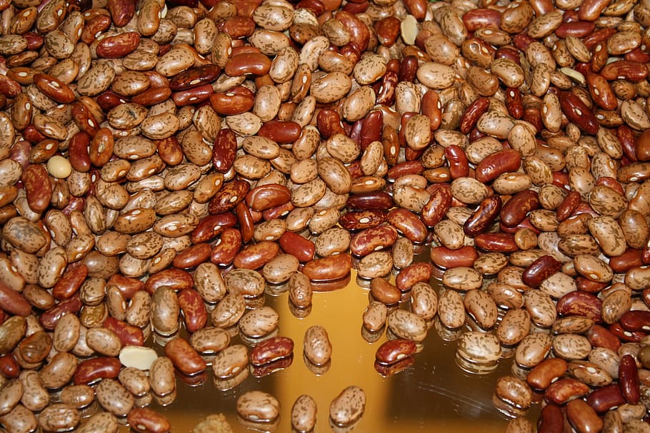 beans, brown, white, legumes, beans seeds, large group of objects HD wallpaper