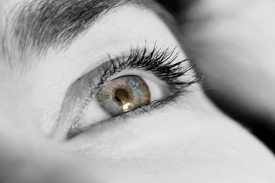 human eye grayscale photo, eyelashes, view, close, iris, woman HD wallpaper