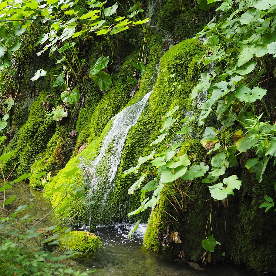 Plitvice, Nature, Waterfall, landscape, croatia, landscape water HD wallpaper