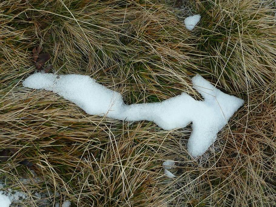 arrow, winter, snow, grass, plant, high angle view, land, field HD wallpaper
