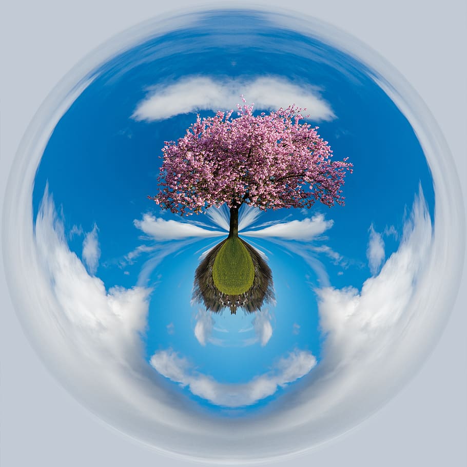 spherical, ball, environment, sky, tree, plant, cloud - sky HD wallpaper