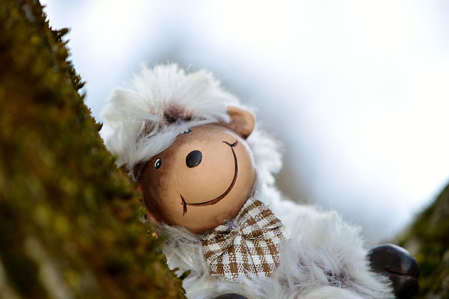 sheep, cute, funny, soft toy, fur, animal world, representation HD wallpaper