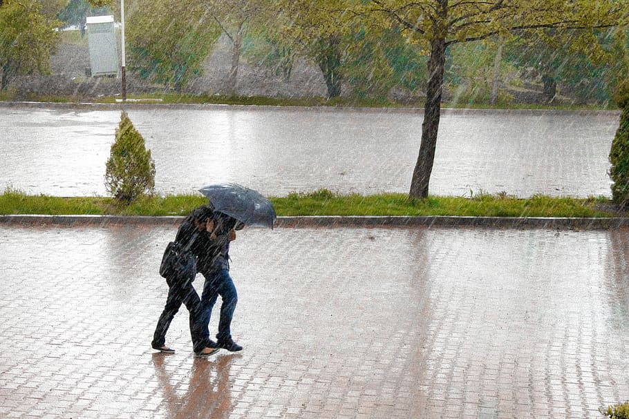 Love in the fall, two person under umbrella during rain, river HD wallpaper