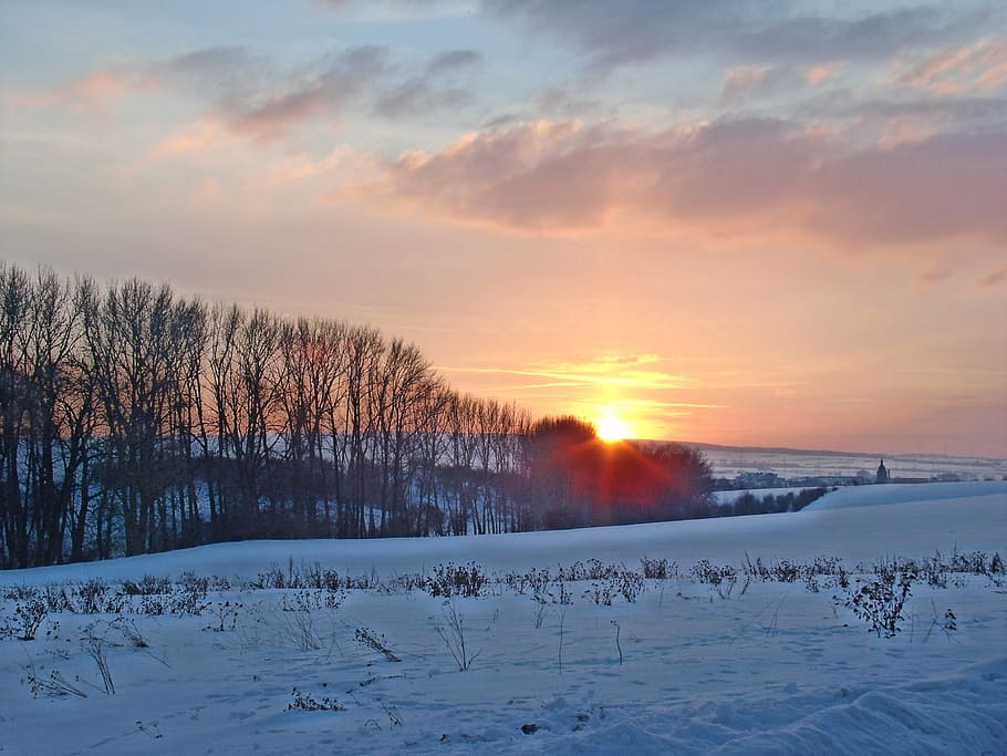 winter, sun, snow, nature, frost, trees, sky, blue, cold, evening sun HD wallpaper