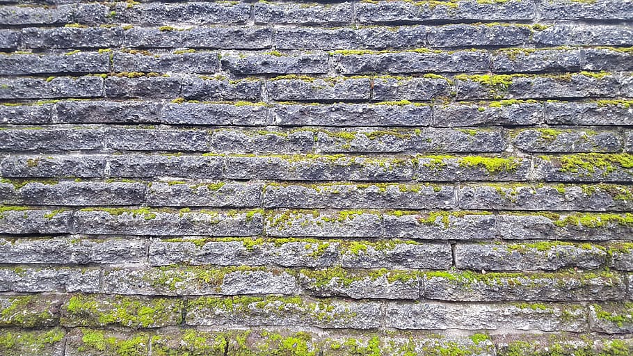 gray bricked wall, texture, stone, moss, aged, brickwork, weathered, HD wallpaper