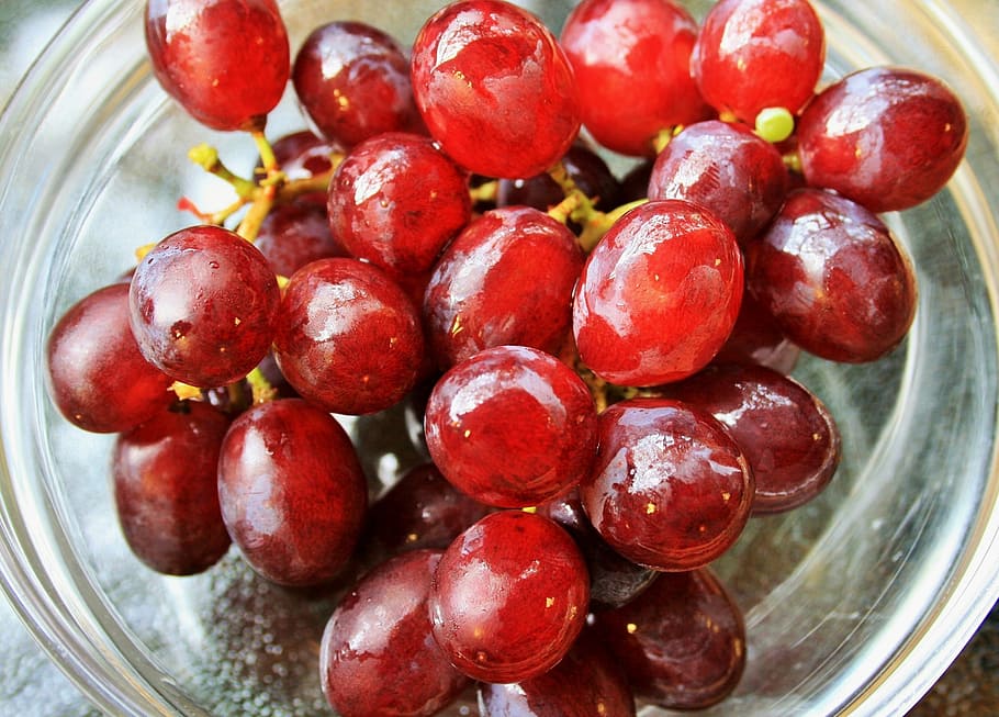 grapes, red, wet, bunch, fruit, appetizing, food and drink HD wallpaper