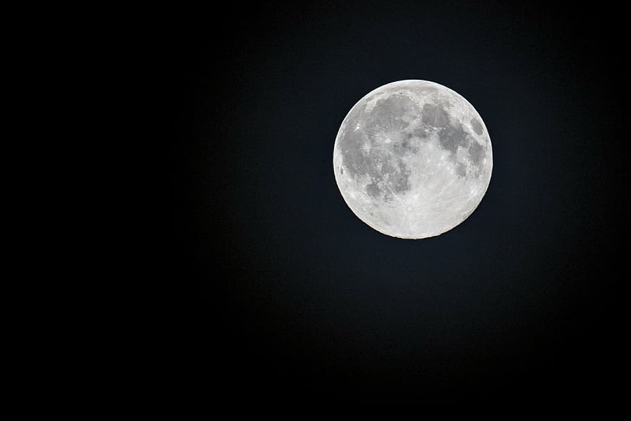 macro photography of full moon, month, night, science, astronomy HD wallpaper