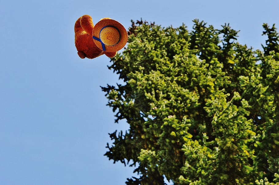 Teddy, Bear, Fly, flying teddy, funny, sky, plush, tree, no people HD wallpaper