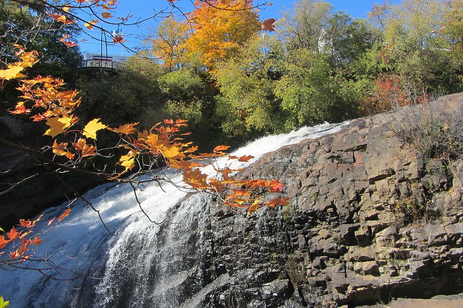 Waterfalls, River, Leaves, Cascade, nature, water courses, landscape HD wallpaper