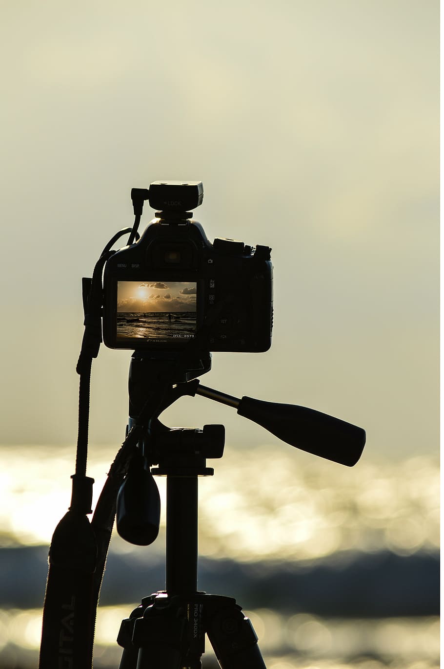 camera, sea, canon, beach, water, black, sunset, sky, nature HD wallpaper