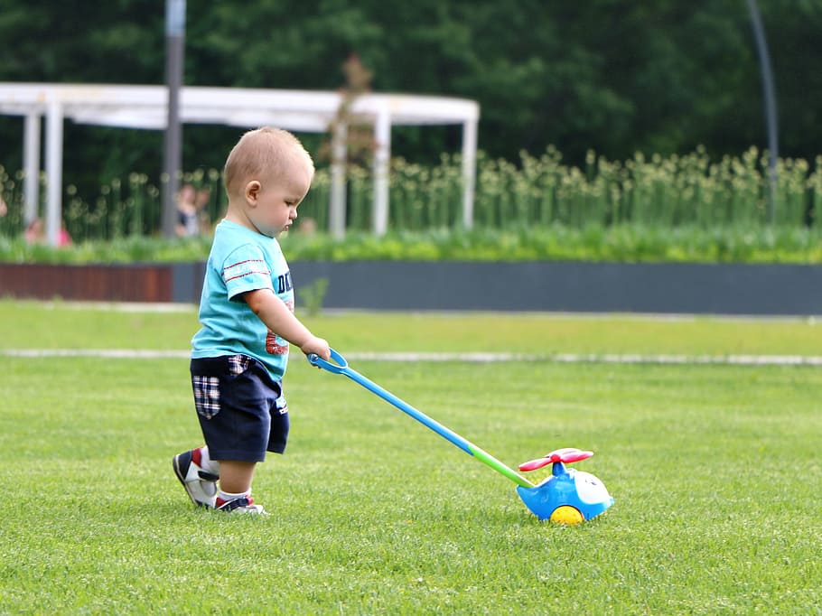 boy wearing blue crew-neck shingle holding learning walker toy standing on green grass during daytime, HD wallpaper