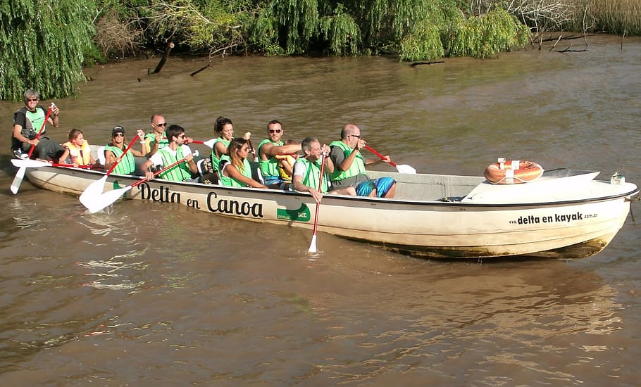 rowing, canoe, kayak, water, real people, group of people, men HD wallpaper