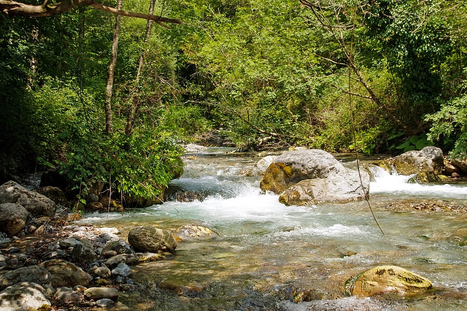 orsomarso, calabria, torrent, argentine stream, water, forest, HD wallpaper
