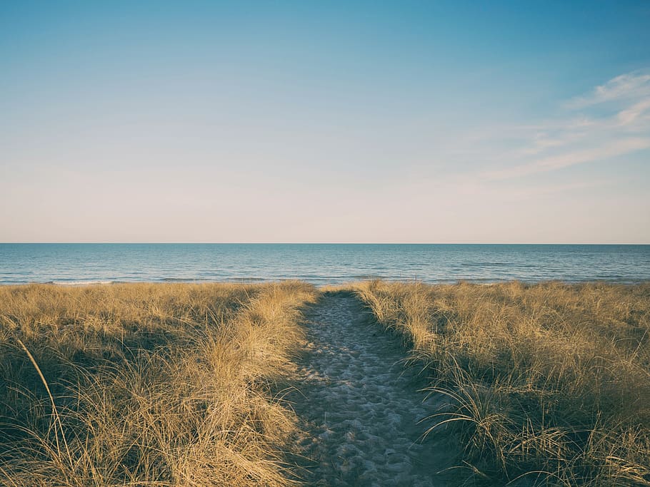 beach, sand, summer, sunshine, sky, ocean, sea, water, grass, HD wallpaper