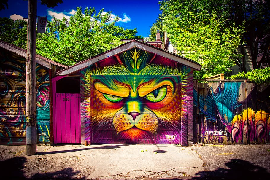 graffiti artwork on garage door, brown, green, and purple animal printed garage door under blue sky