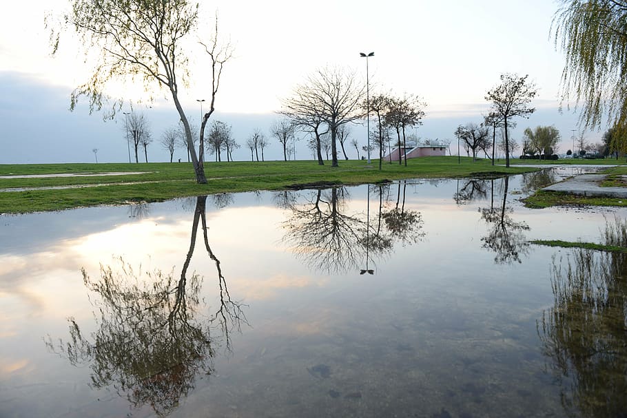 reflection, istanbul, suadiye, water, sky, tree, plant, tranquility HD wallpaper