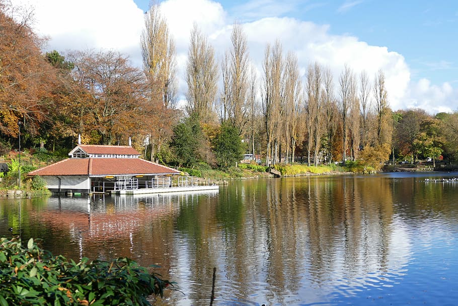 walsall arboretum, attraction, autumn, boat, boating, britain, HD wallpaper