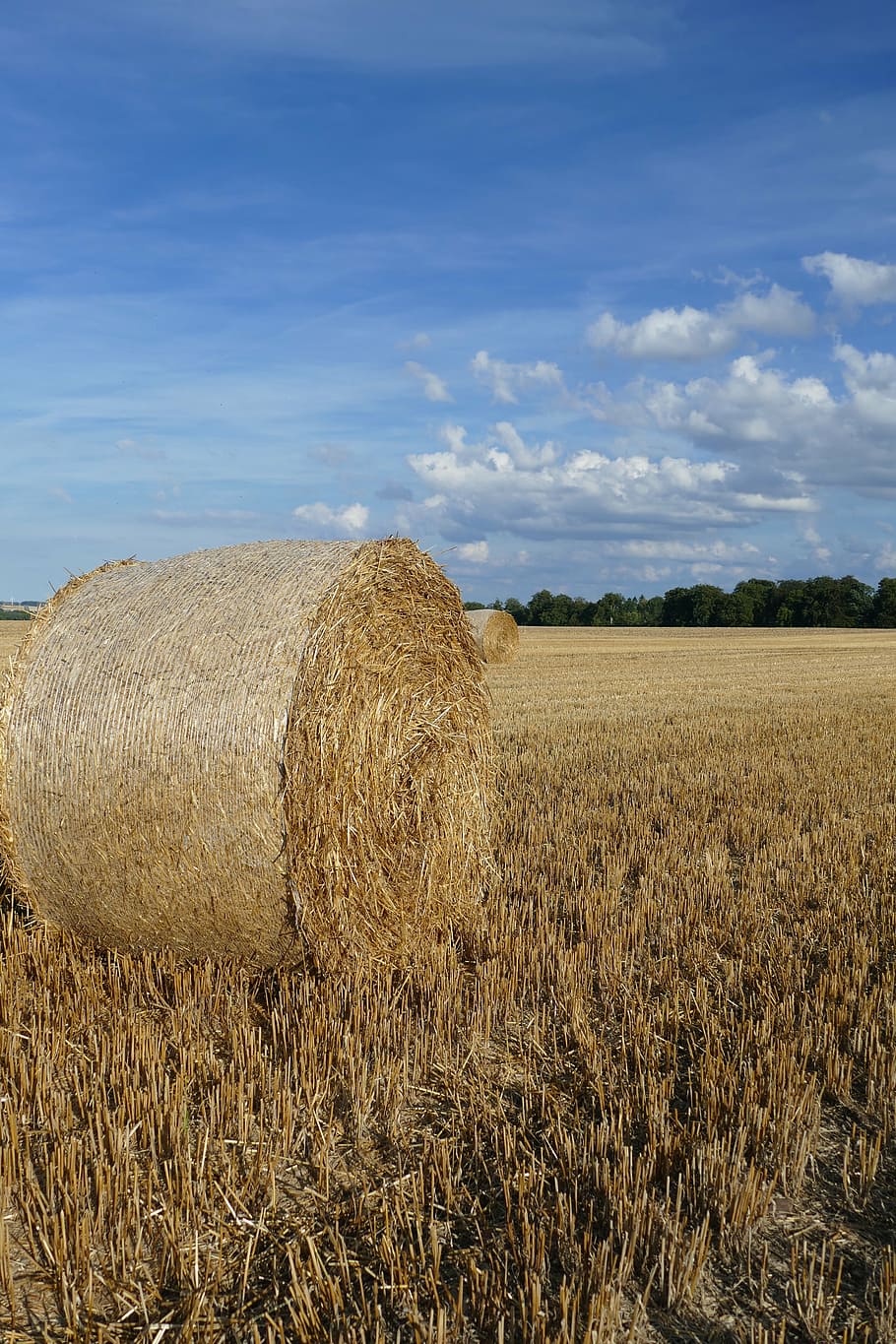 nature, hay bales, arable, cereals, field, clouds, sky, agriculture HD wallpaper