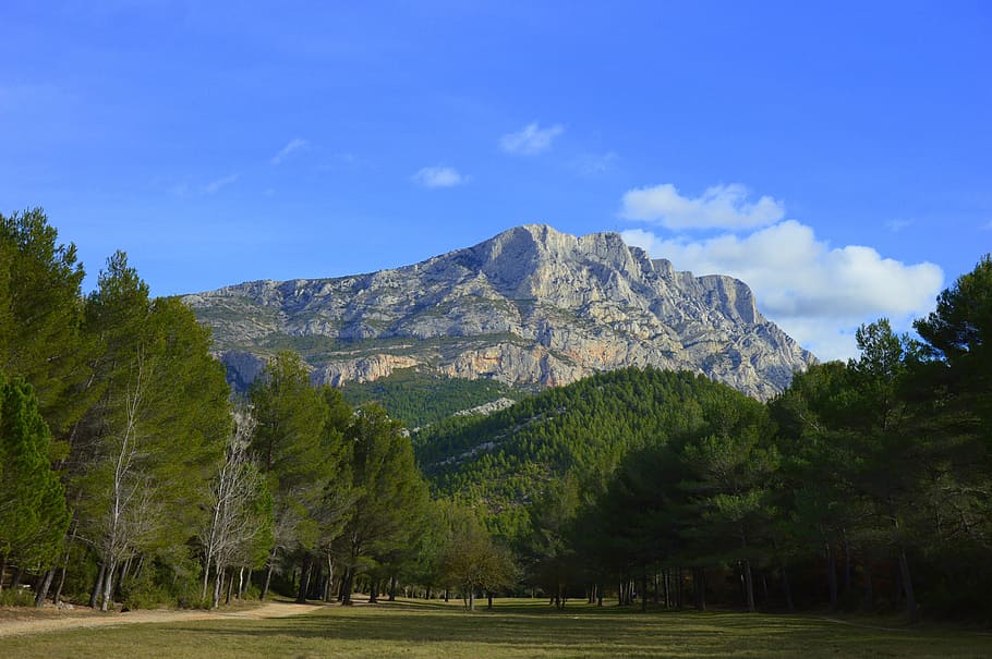 mountain, france, aix in provence, holy victory, tree, plant, HD wallpaper