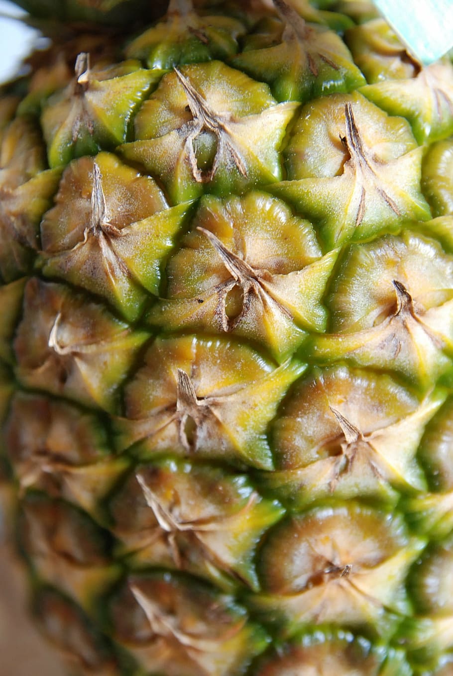 close up, pineapple, macro, fruit, food, freshness, ripe, close-up HD wallpaper