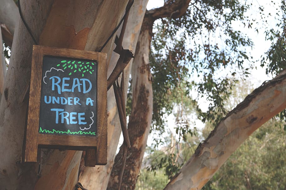 Read Under a Tree Signage Hanging on Branch Tree, abandoned, ancient HD wallpaper