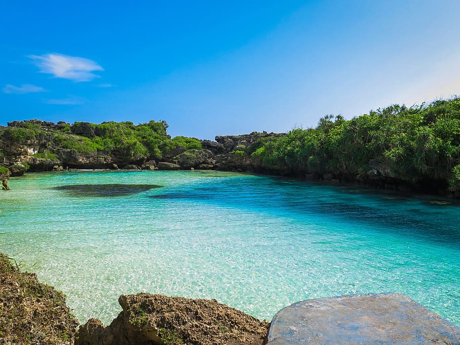 Lake, Turquoise, blue, turquoise colored, water, scenics, tree HD wallpaper