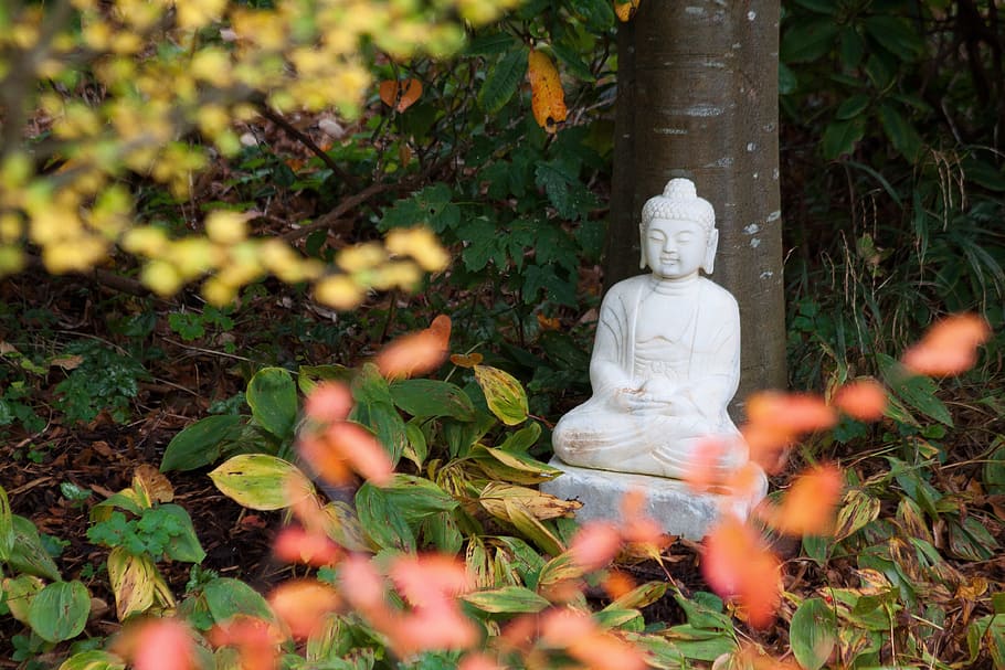 buddha, marble, white, sculpture, figure, statue, autumn, leaves
