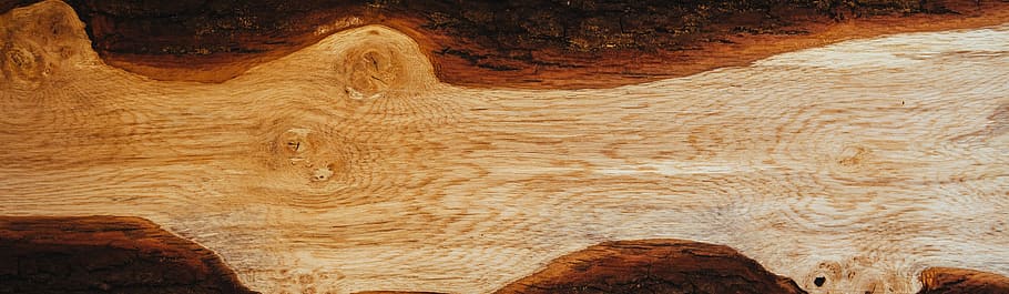 wood, tree, grain, fallen, material, stem, wood - material, textured HD wallpaper