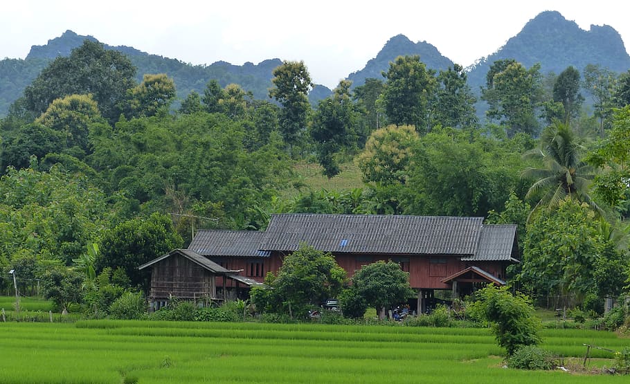 traditional house, peasant, thailand, nature, asia, mountain, HD wallpaper