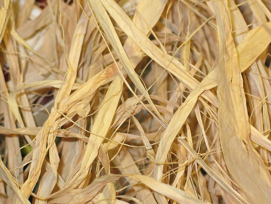 bast, nature, weave, close, nature recording, background, natural product HD wallpaper