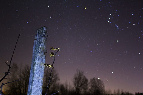 gray wooden stand during nighttime, untitled, stars, sky, starry HD wallpaper