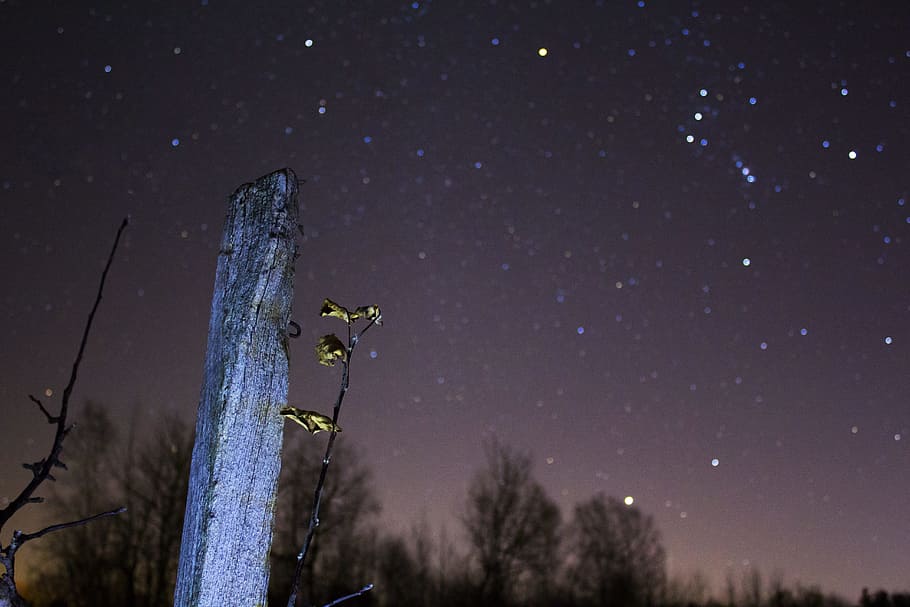 gray wooden stand during nighttime, untitled, stars, sky, starry HD wallpaper