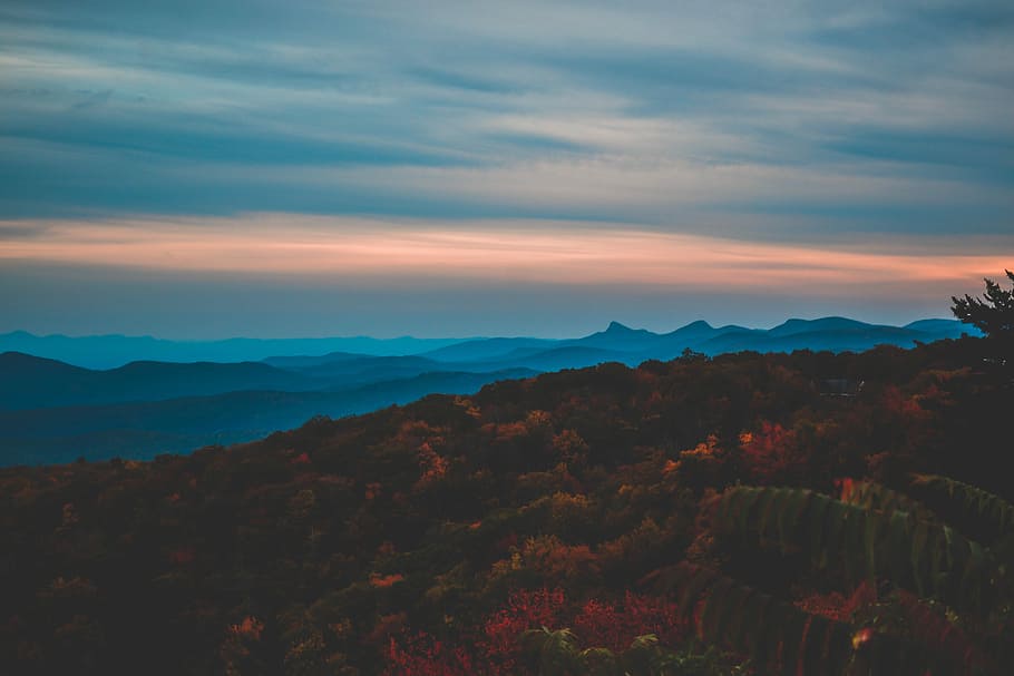 aerial photography of plants far at the mountains, aerial photography of trees and mountains at golden hour HD wallpaper