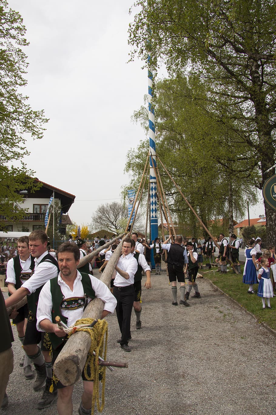 Maypole, Decorated, Log, Setting, setting up, fraternity, men HD wallpaper