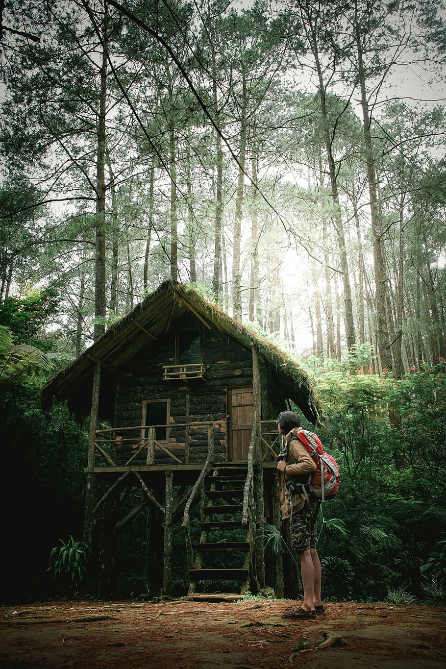 mountaineer standing in the middle of forest nearby hut, person standing near house and tress