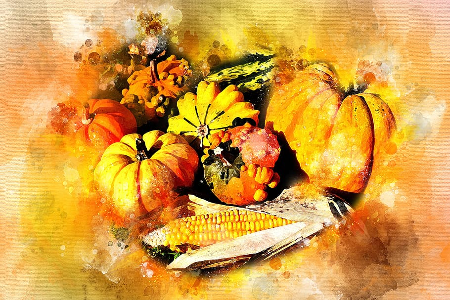 orange pumpkins painting, autumn, corn, harvest, still life, nature, HD wallpaper