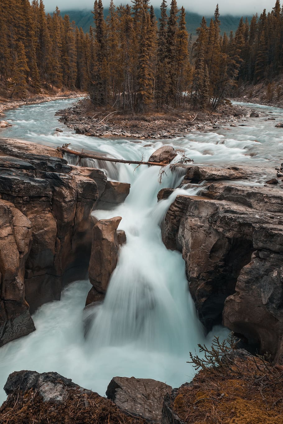 scenery of waterfalls, waterfalls illustration, tall, tree, daytime HD wallpaper