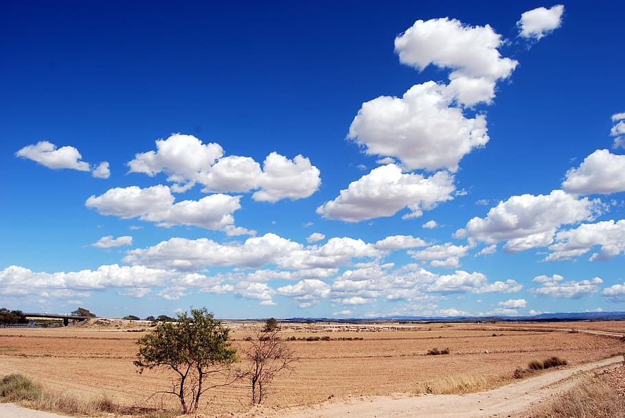 beige land under white clouded blue sky at daytime, field, clouds HD wallpaper