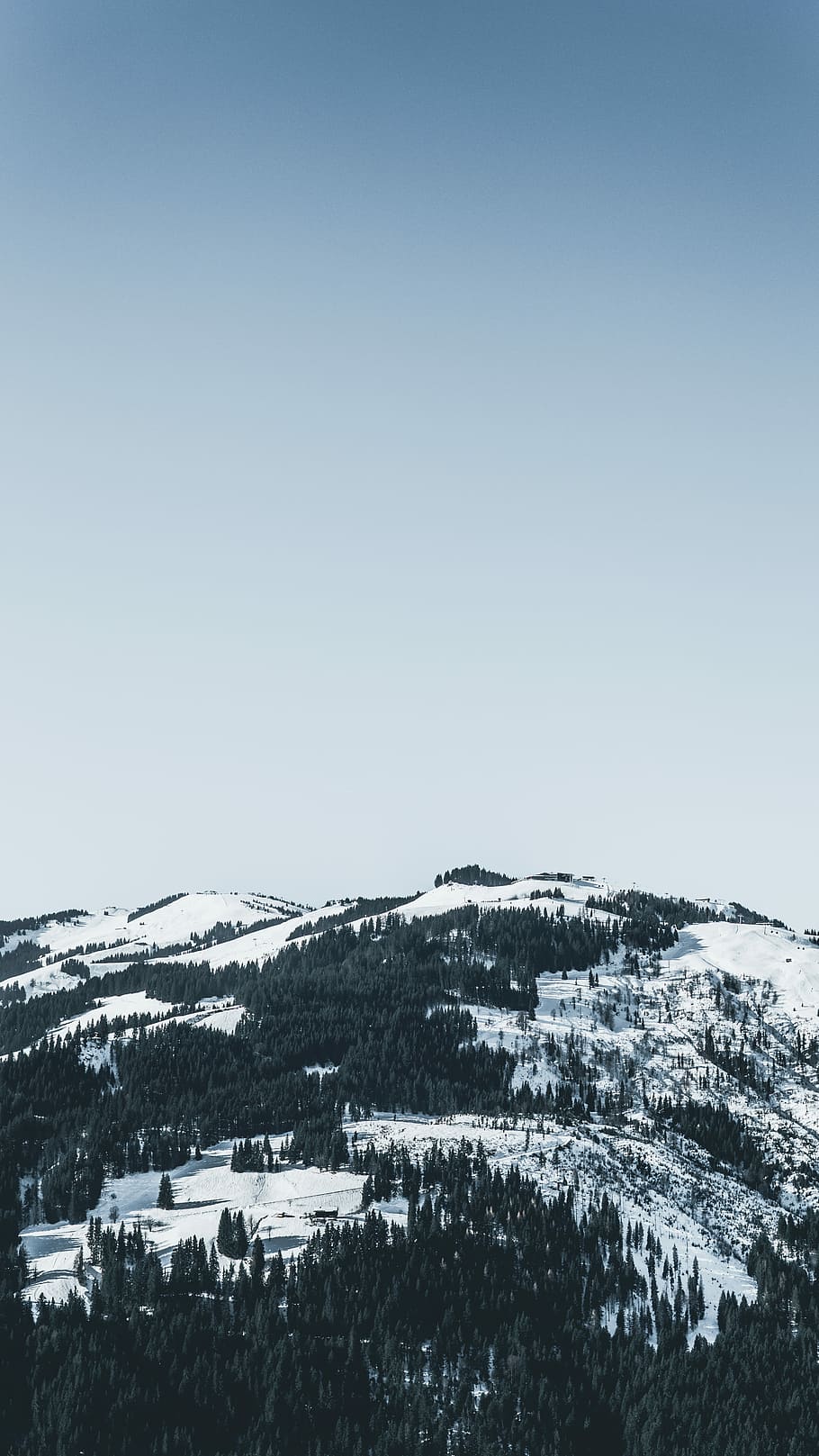 snow covered mountain with trees under blue skies, snowy mountain range HD wallpaper