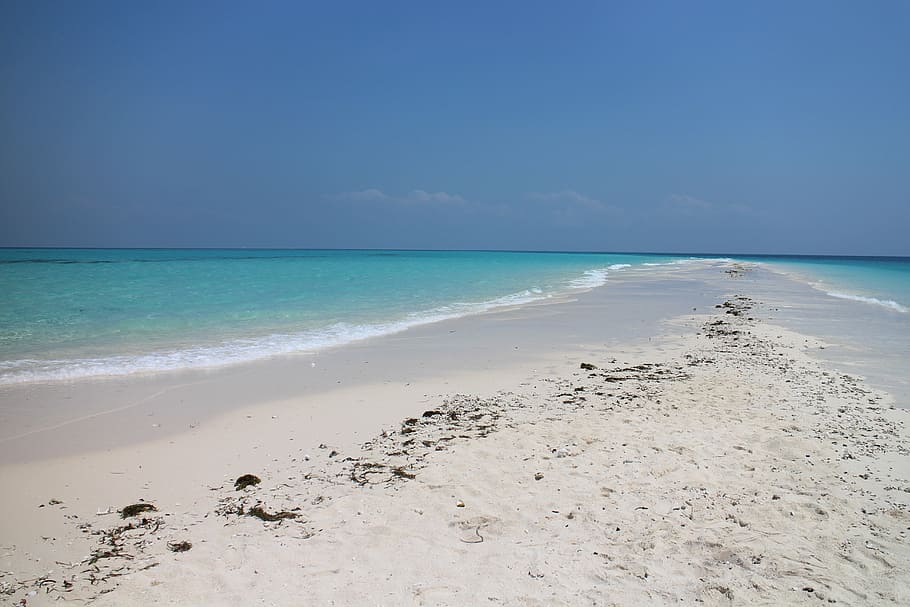 seashore during day time, beach, sand, lagoon, sand beach, summer HD wallpaper