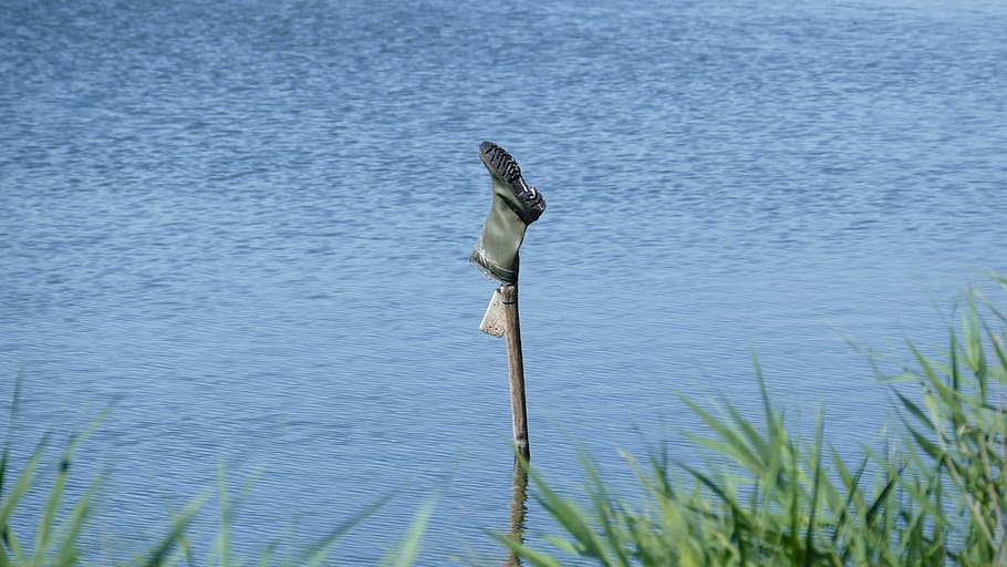 Boots, Lake, Reed, Wind, Wave, blue, green, wooden stick, water HD wallpaper