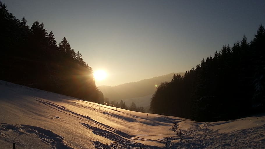 snow landscape, sunset, sky, tree, winter, cold temperature HD wallpaper