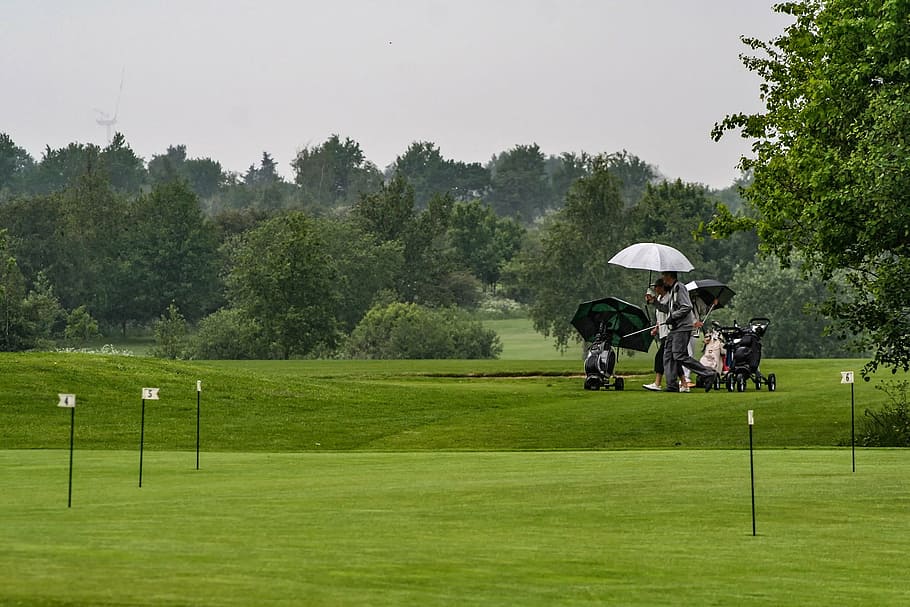 golf, rain, umbrella, golf course, activity, plant, grass, leisure activity HD wallpaper