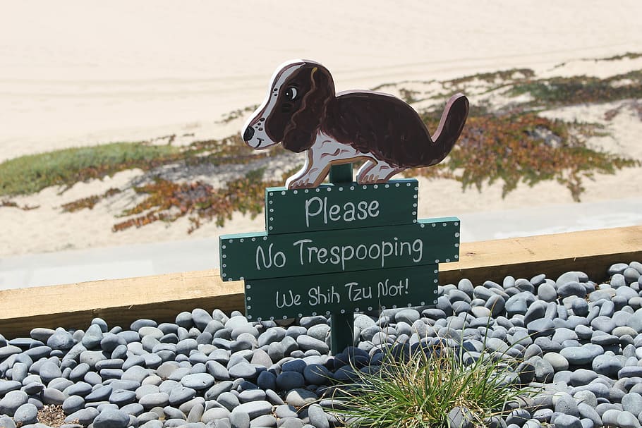 please no trespooping we shih tzu not signage, Dog, Nature, Animal