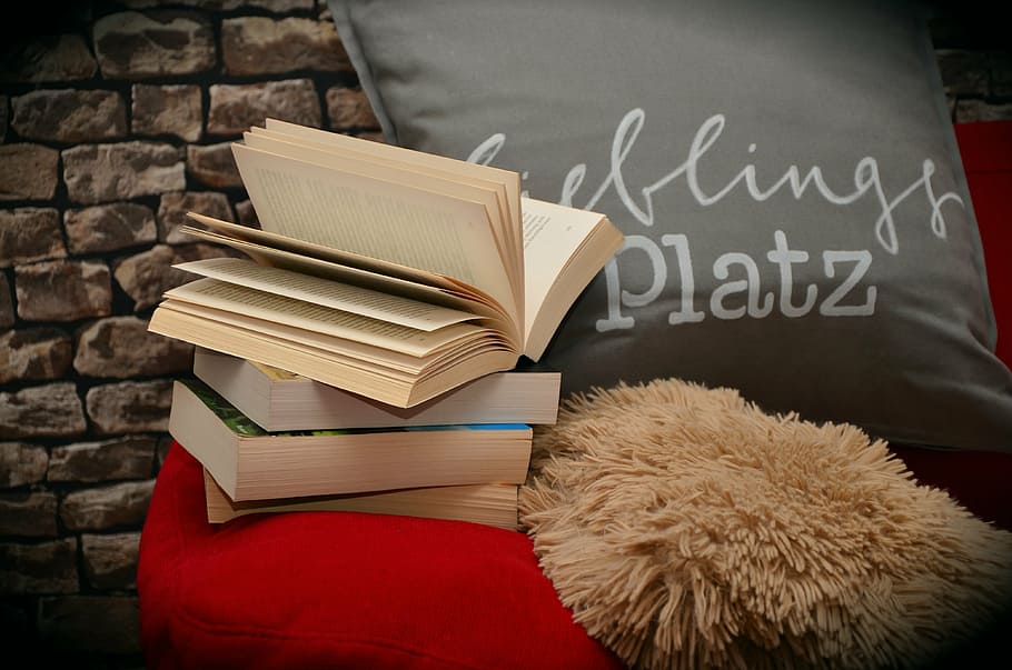 four assorted books, gray throw pillow, and red sofa, read HD wallpaper