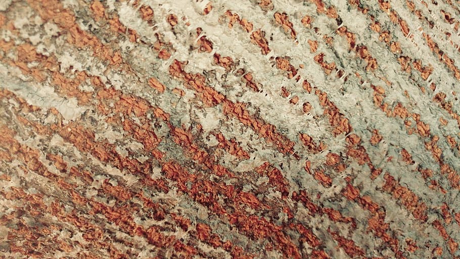 bark, tree, pattern, wood, texture, abstract, wallpaper, surface HD wallpaper