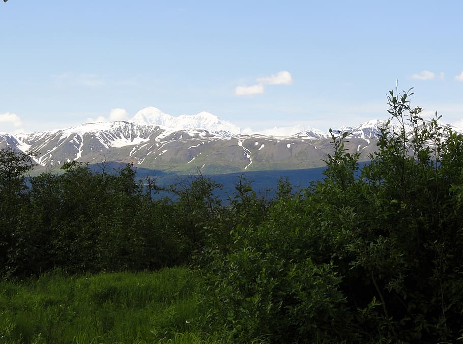 mount mckinley, alaska, denali, mountain, plant, tree, sky, HD wallpaper